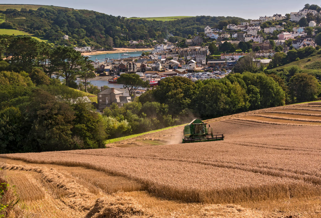 5 of the best Devon farmers markets Coast & Country Cottages