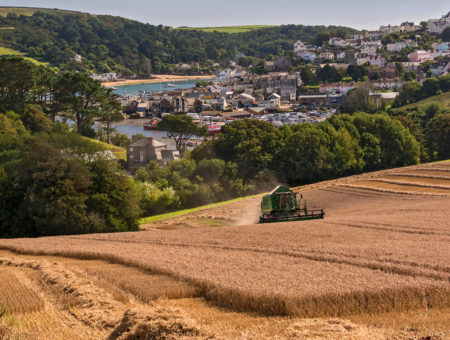 Devon Farmers Markets