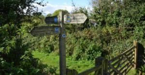 South Devon Walks: Dartmouth to Dittisham, via Greenway