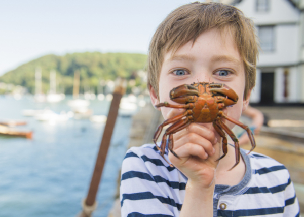 Guide to crabbing  Kids Love Cornwall Living