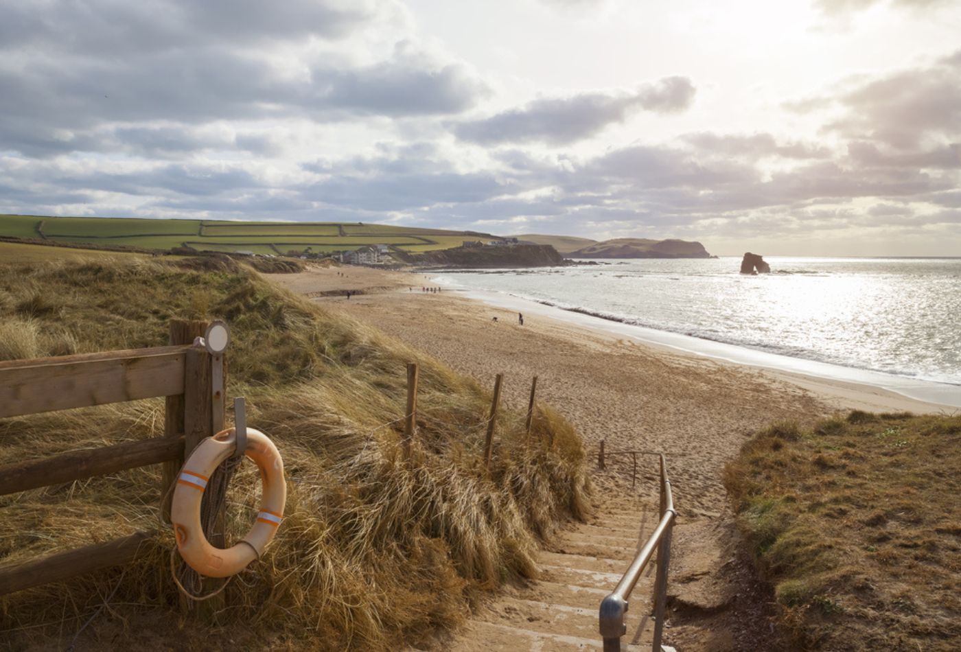 3 Top Dog friendly South Hams Walks Coast Country Cottages