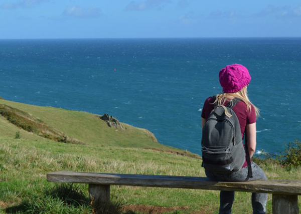 Dartmouth Town Guide - Someone sat on a bench overlooking the sea on a walk near Dartmouth
