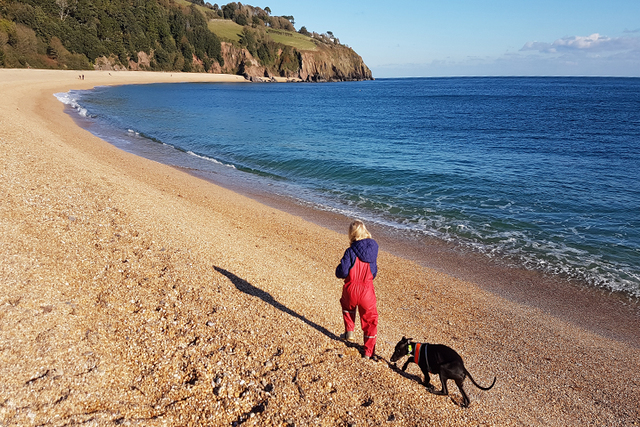 Dartmouth Town Guide - A dog and their owner at Blackpool Sands, near Dartmouth